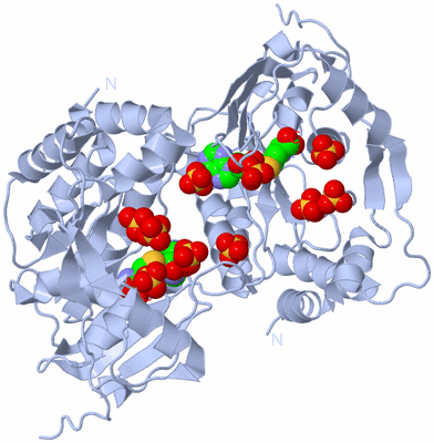 Image Biological Unit 2