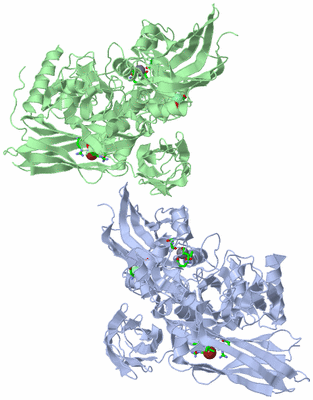 Image Asym./Biol. Unit - sites