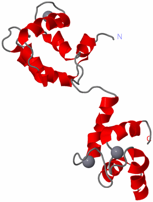 Image NMR Structure - model 1