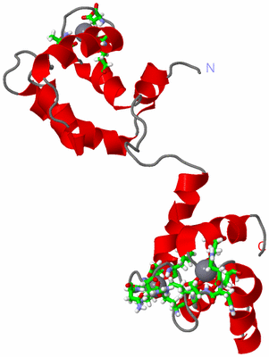 Image NMR Structure - model 1, sites