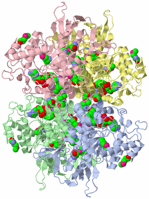 Image Asym./Biol. Unit