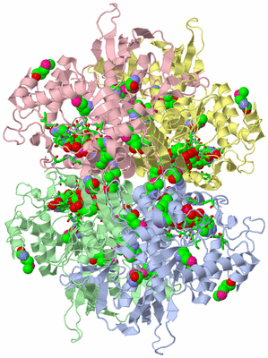 Image Asym./Biol. Unit - sites