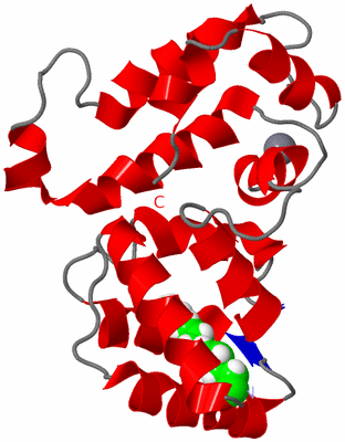 Image NMR Structure - model 1