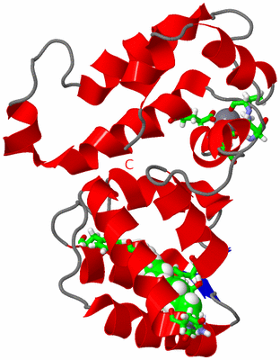 Image NMR Structure - model 1, sites