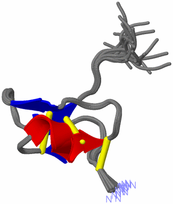 Image NMR Structure - all models