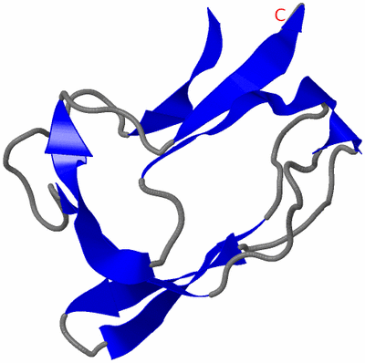 Image NMR Structure - model 1