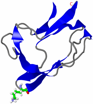 Image NMR Structure - model 1, sites