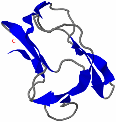 Image NMR Structure - model 1