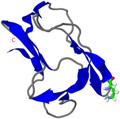 Image NMR Structure - model 1, sites