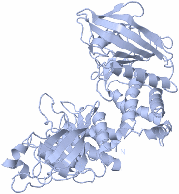 Image Biological Unit 1