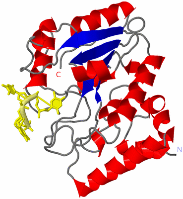 Image Asym./Biol. Unit