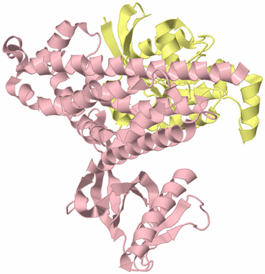 Image Biological Unit 2