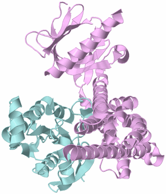 Image Biological Unit 3