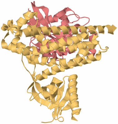 Image Biological Unit 4