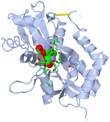 Image Biol. Unit 1 - sites