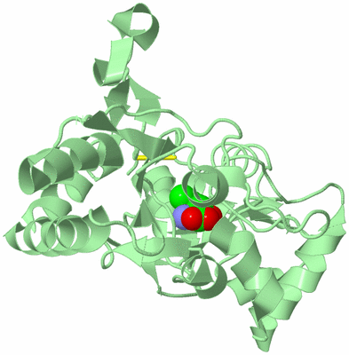 Image Biological Unit 2