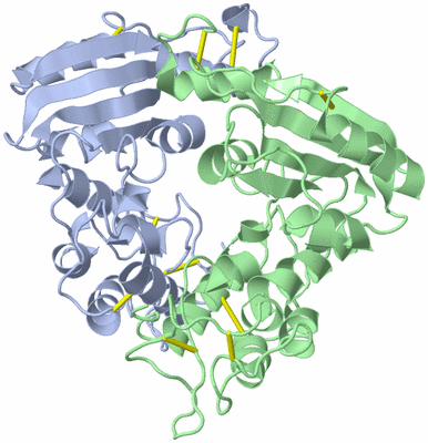 Image Asym./Biol. Unit