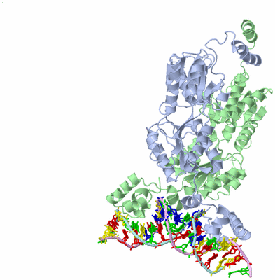 Image Biological Unit 1