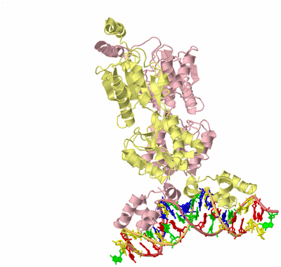 Image Biological Unit 2