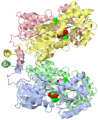 Image Asym./Biol. Unit