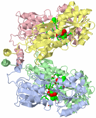 Image Asym./Biol. Unit - sites