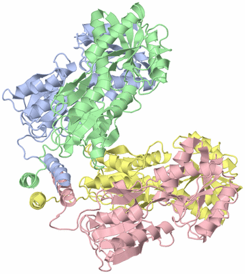 Image Asym./Biol. Unit