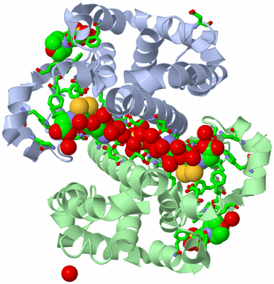 Image Asym./Biol. Unit - sites