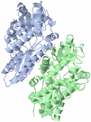 Image Asym./Biol. Unit