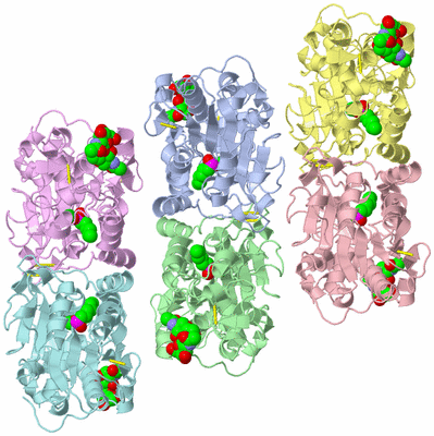 Image Asymmetric Unit