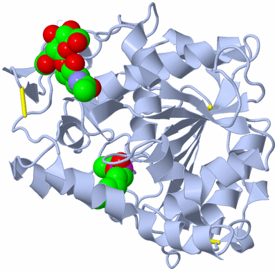 Image Biological Unit 1