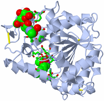 Image Biol. Unit 1 - sites