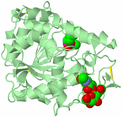 Image Biological Unit 2