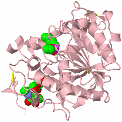 Image Biological Unit 3