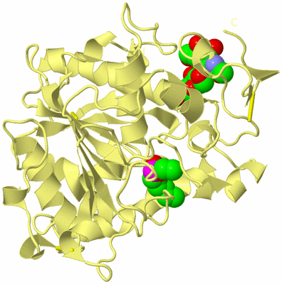 Image Biological Unit 4