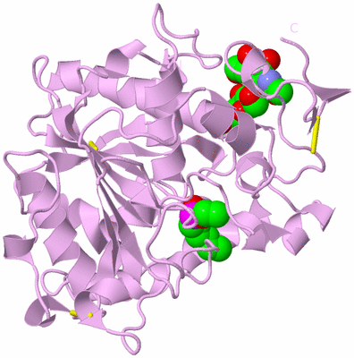 Image Biological Unit 5