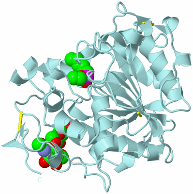 Image Biological Unit 6