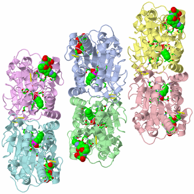 Image Asym. Unit - sites