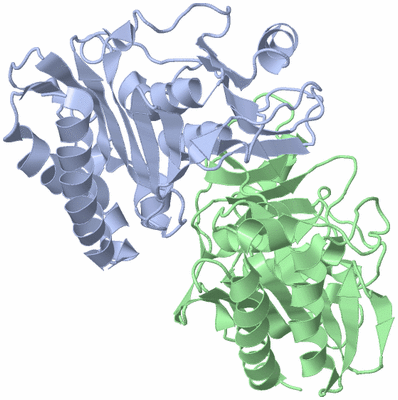 Image Asym./Biol. Unit