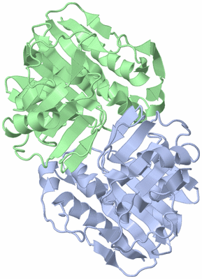 Image Asym./Biol. Unit