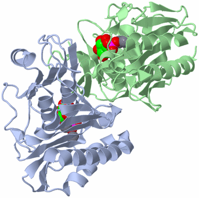 Image Asym./Biol. Unit