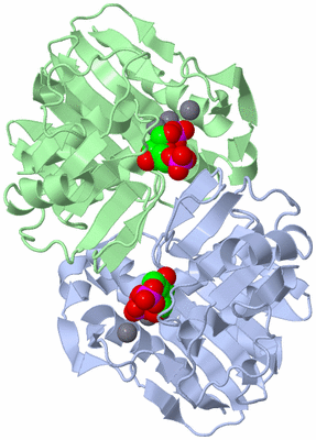 Image Asym./Biol. Unit