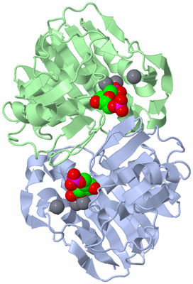 Image Asym./Biol. Unit