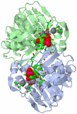 Image Asym./Biol. Unit - sites