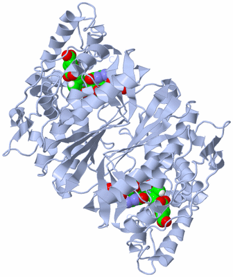 Image Biological Unit 1