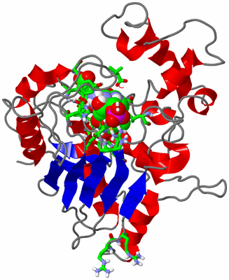 Image Asym. Unit - sites