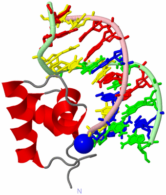 Image NMR Structure - model 1