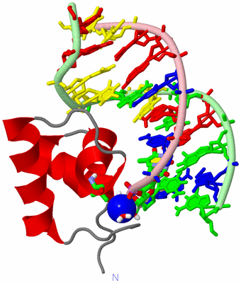 Image NMR Structure - model 1, sites