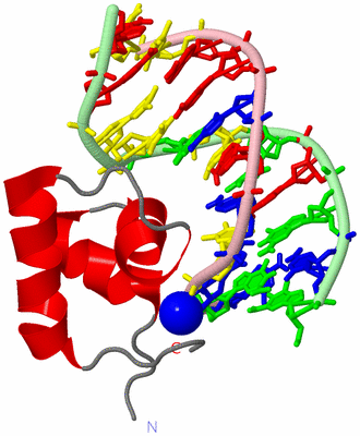 Image NMR Structure - model 1