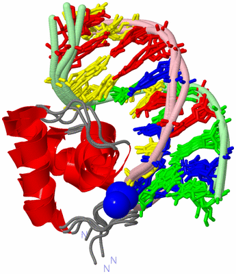 Image NMR Structure - all models