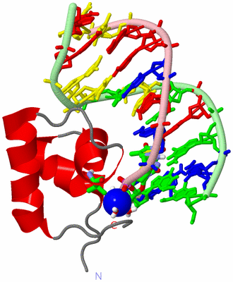 Image NMR Structure - model 1, sites